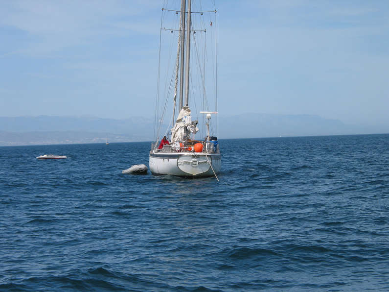 img_2511.jpg 612 kB