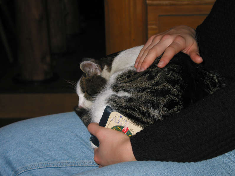 img_0340.jpg 516 kB