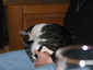 ./img_0338.jpg 48k