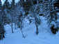 ./img_0438.jpg 120k