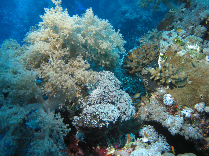 img_0980.jpg 0 kB