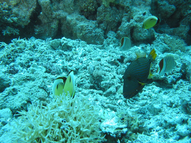 img_1014.jpg 0 kB