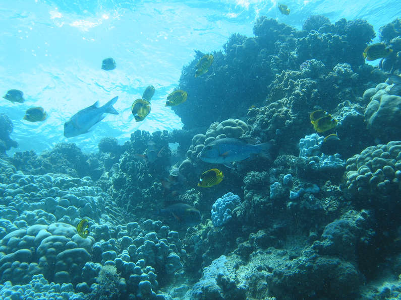 img_1021.jpg 0 kB