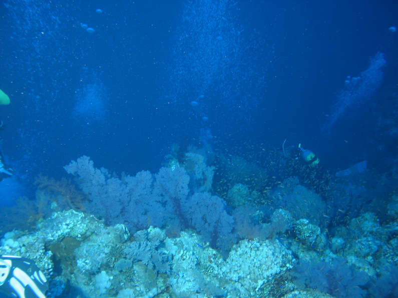 img_1066.jpg 0 kB