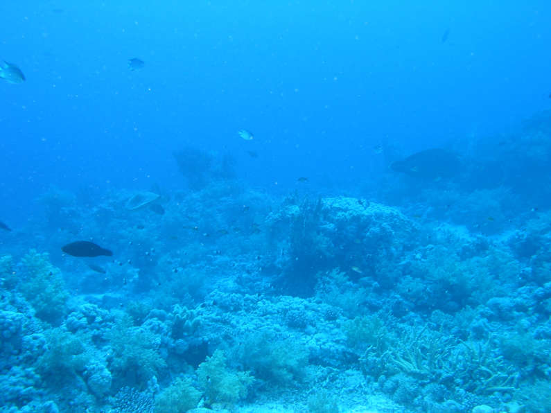 img_1084.jpg 0 kB
