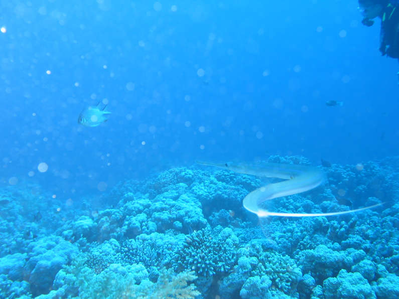 img_1092.jpg 0 kB