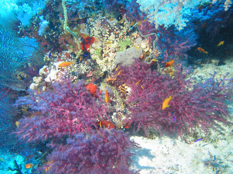 img_1109.jpg 0 kB