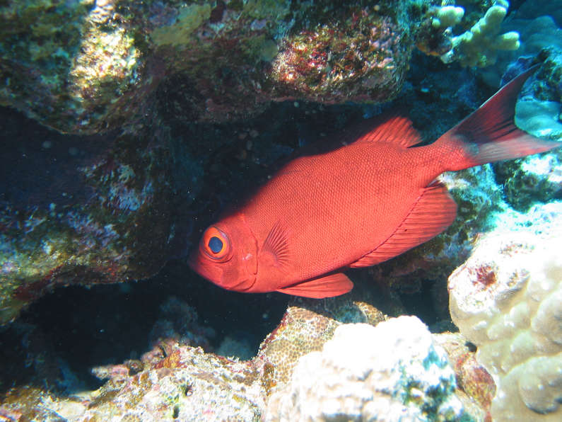 img_1119.jpg 0 kB