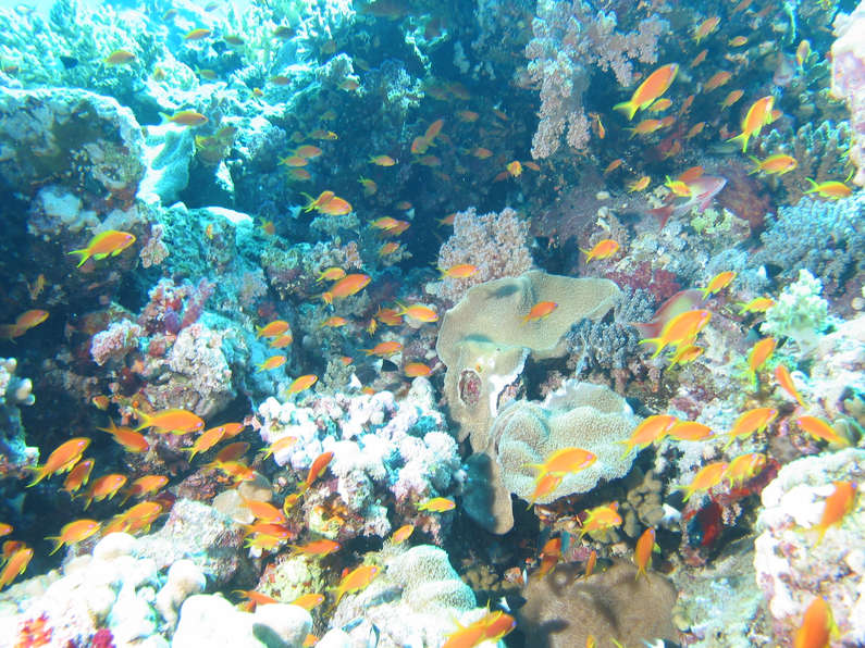 img_1125.jpg 0 kB