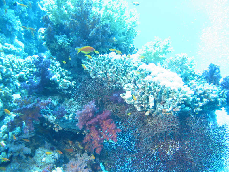 img_1127.jpg 0 kB