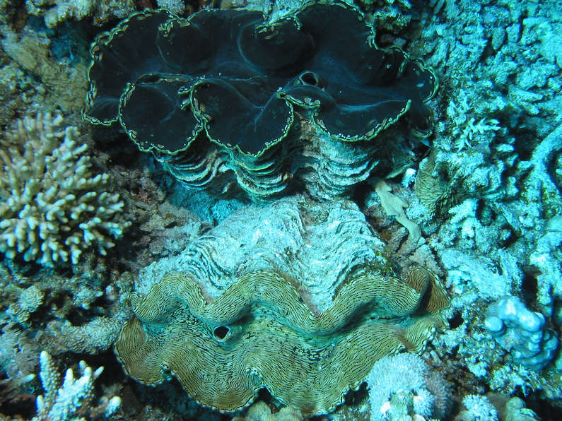 img_1147.jpg 0 kB