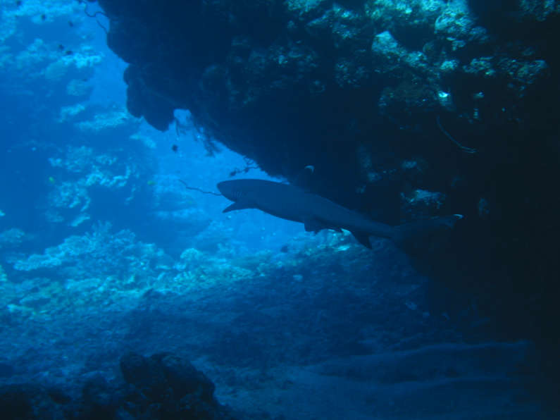 img_1163.jpg 0 kB