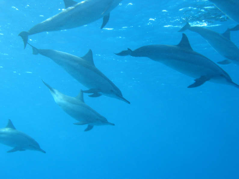 img_1262.jpg 0 kB