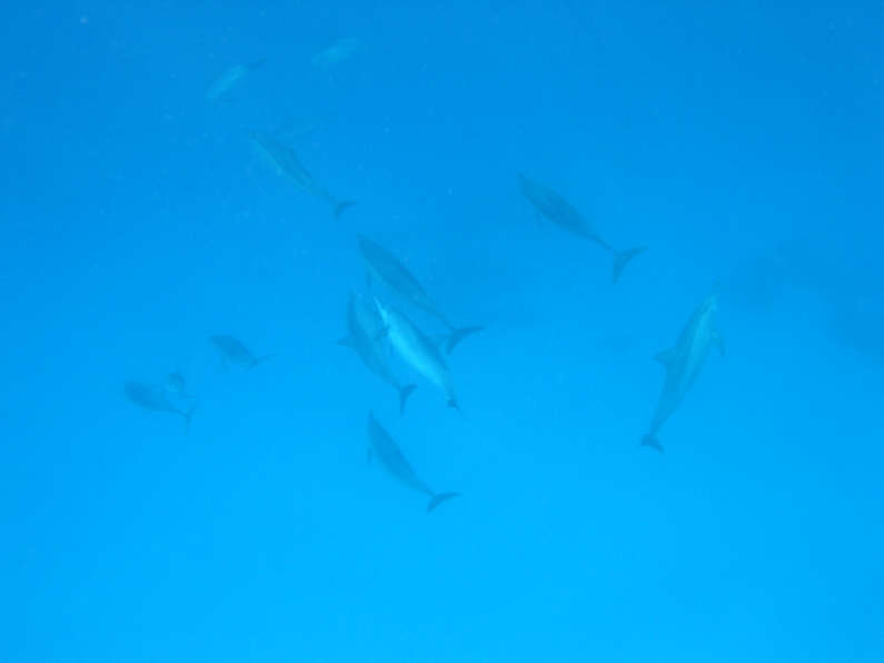 img_1315.jpg 0 kB
