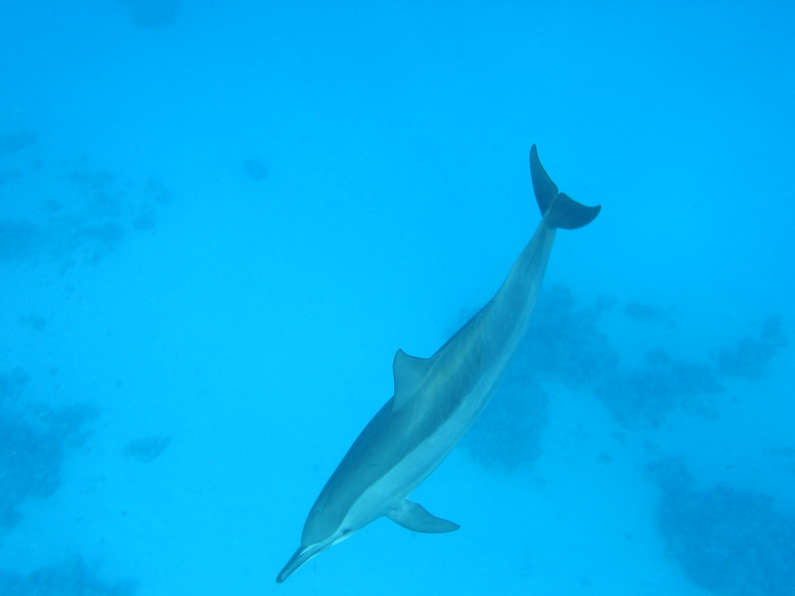 img_1323.jpg 0 kB