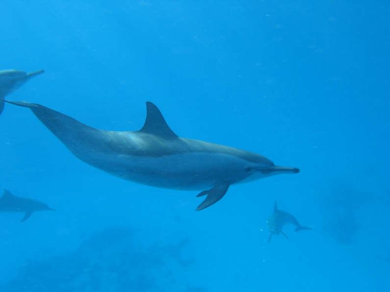 img_1333.jpg 0 kB