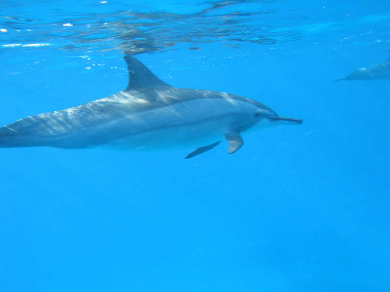 img_1340.jpg 0 kB