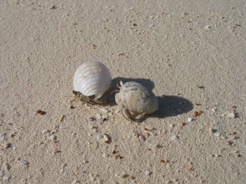 img_1395.jpg 0 kB
