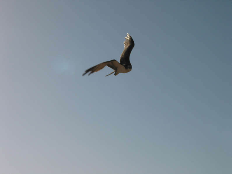 img_1409.jpg 0 kB