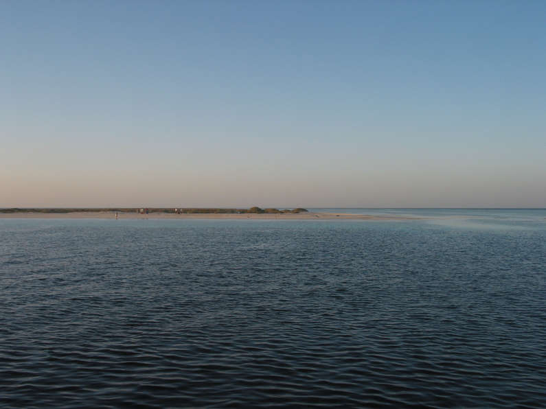 img_1411.jpg 0 kB