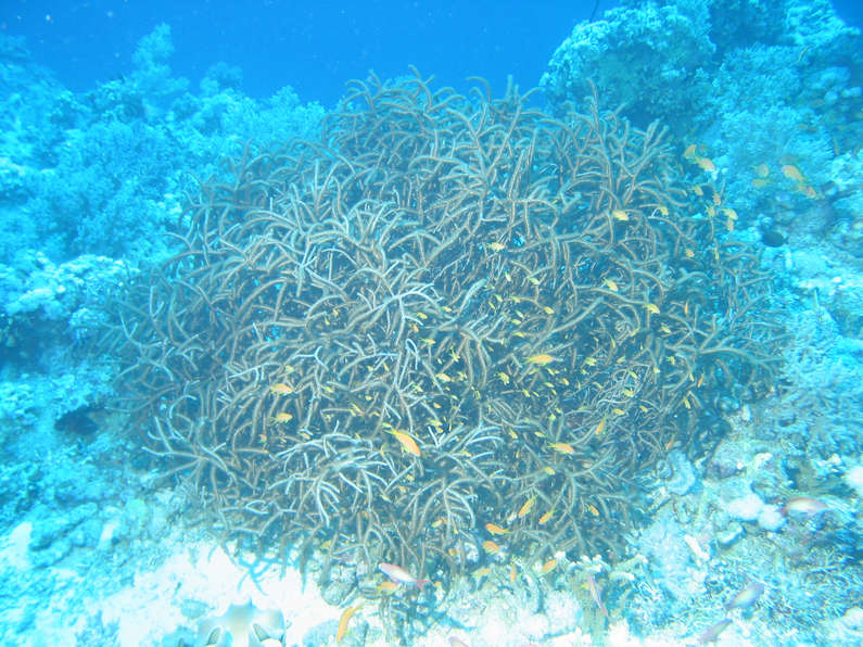 img_1453.jpg 0 kB