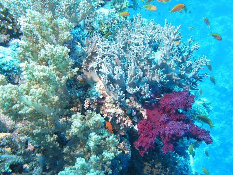 img_1498.jpg 0 kB