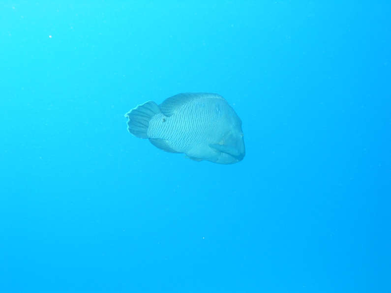 img_1547.jpg 0 kB