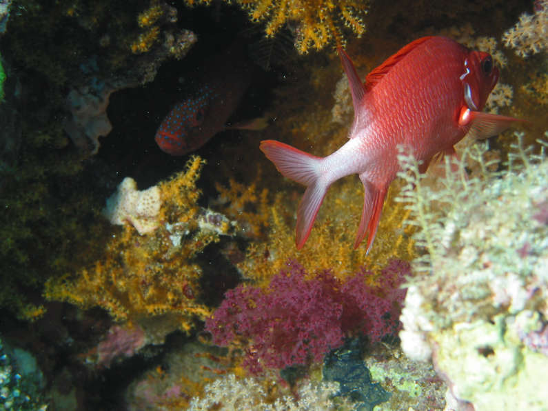 img_1569.jpg 0 kB