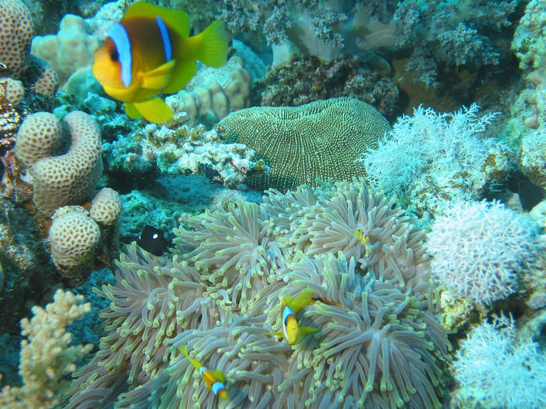 img_1574.jpg 0 kB