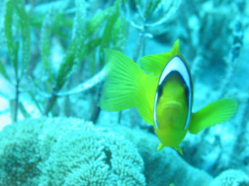 img_1633.jpg 0 kB