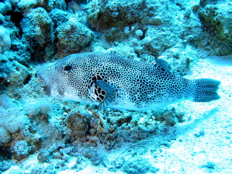 img_1687.jpg 0 kB